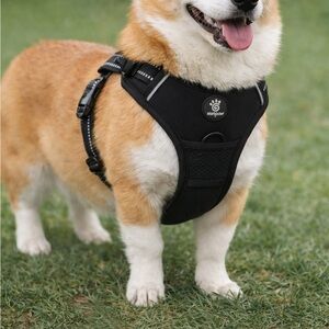 Large Black Dog Harness